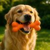 Jouets à couinement : idées cadeaux chien