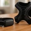 Accessoires chien : les indispensables 2025