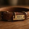 Collier chien personnalisé unique et stylé