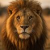 Photos d’animaux : sublimez vos murs
