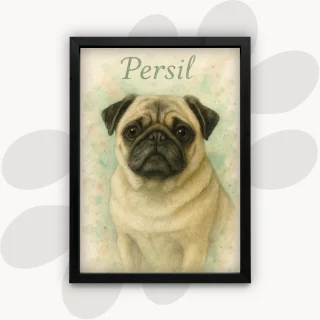 photo Aquarelle classique