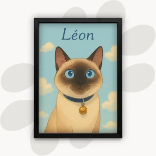 photo Animation Féérique