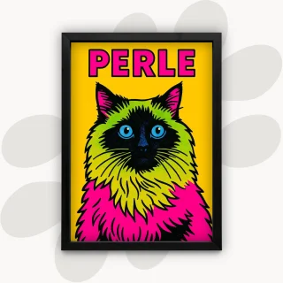photo Pop Art