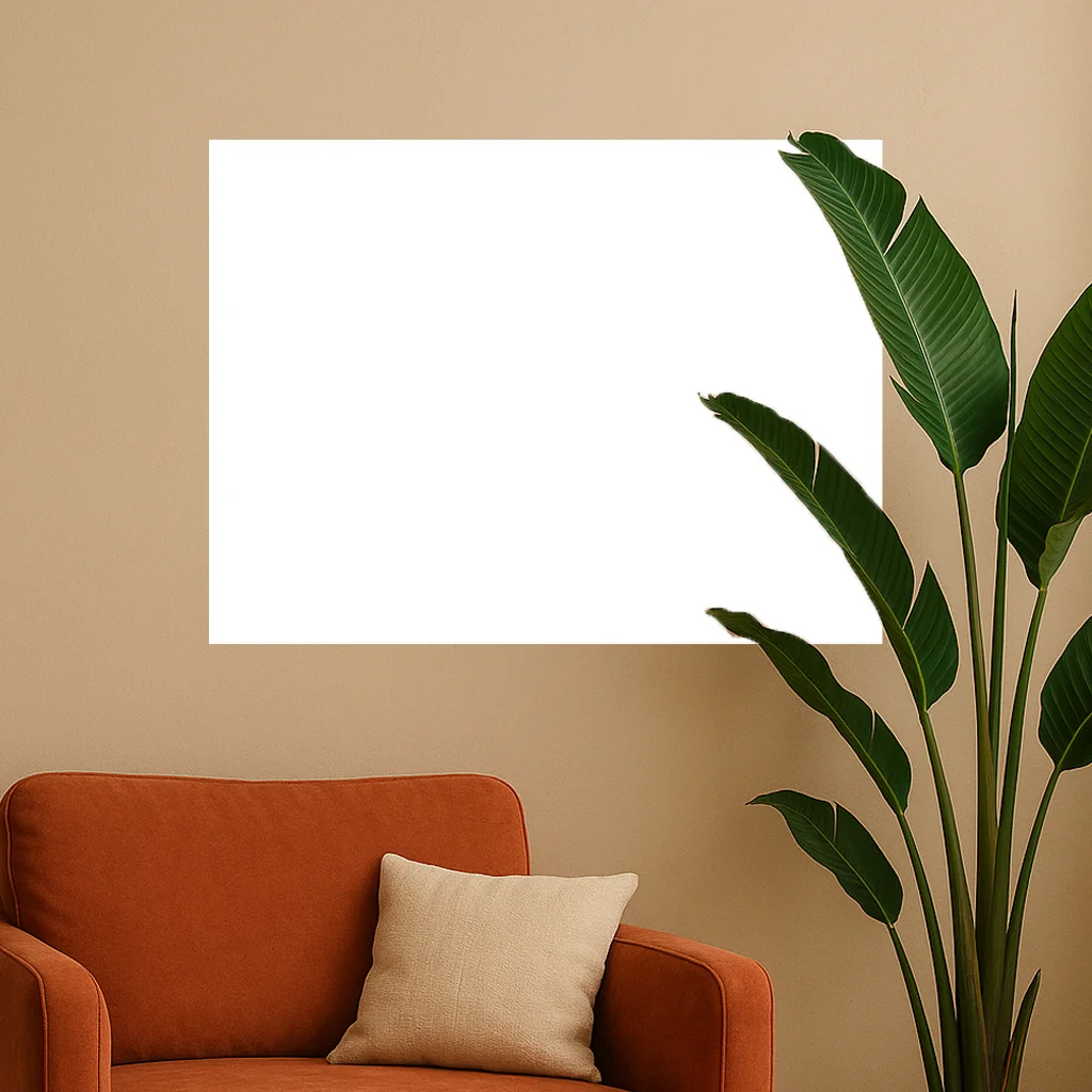 canvas size