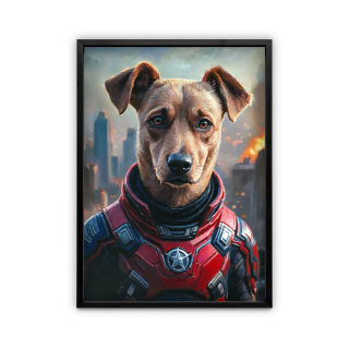 frame