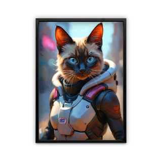 frame