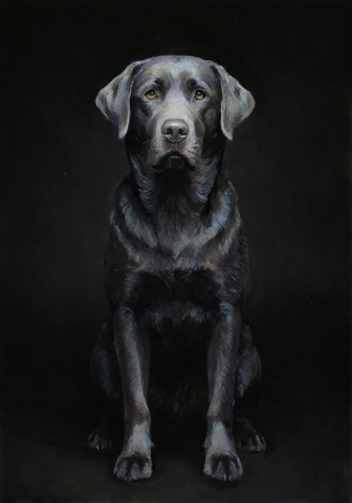 Portraits modernes
