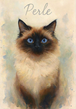 Portraits modernes
