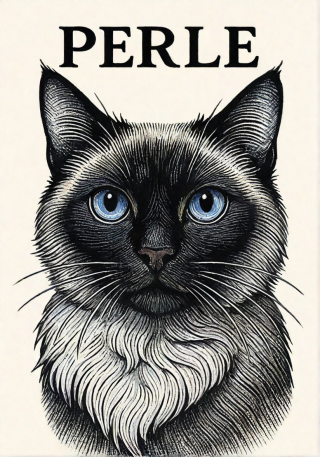 Portraits modernes